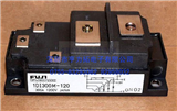 1DI300M-120's picture