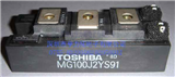 MG100J2YS91