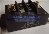 MG300H1FL1ͼƬ