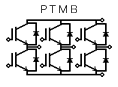 PTMB